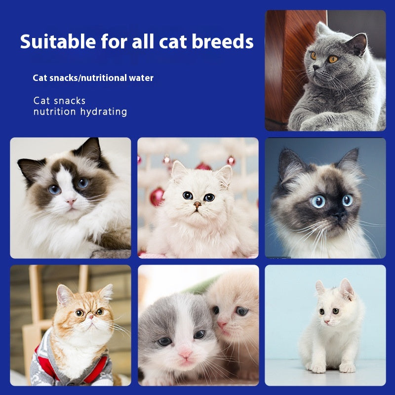 Cat Kitten Wet Food Snacks