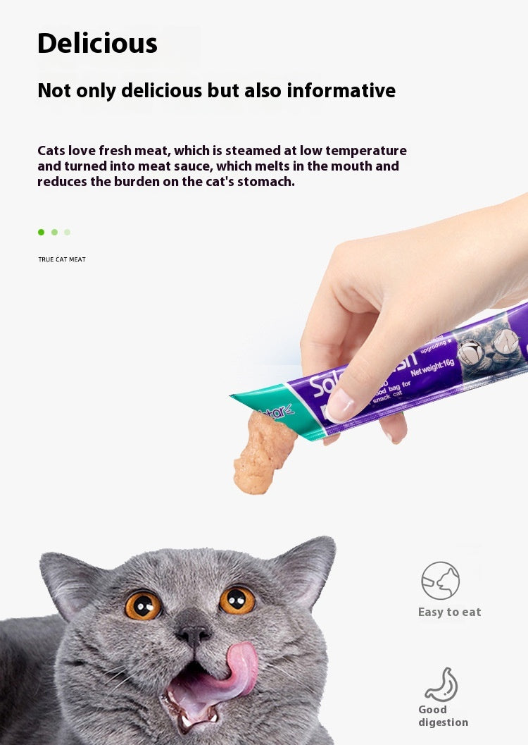 Cat Kitten Wet Food Snacks