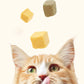 Pet Freeze-dried Snacks Chicken Grains